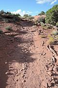 White Rim Trail