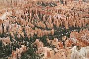 Bryce Point 的風光