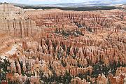 Bryce Point 的風光