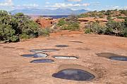 White Rim Overlook Trail