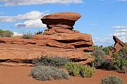 White Rim Overlook Trail 的地貌