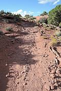 White Rim Overlook Trail