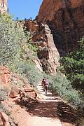 Angel's Landing Trail